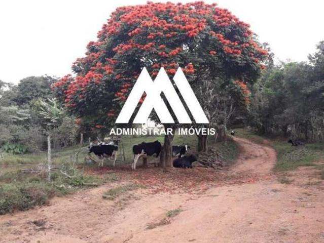 Fazenda á venda de 38 hectares com poço semi artesiano e lagoa em Oliveira MG!