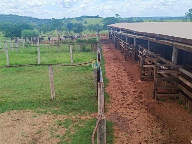 Fazenda à venda em Comendador Gomes/MG