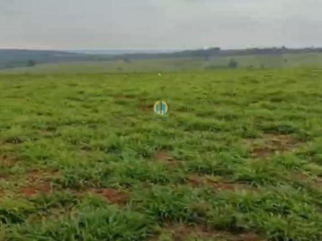 Fazenda à venda em Conchal/SP
