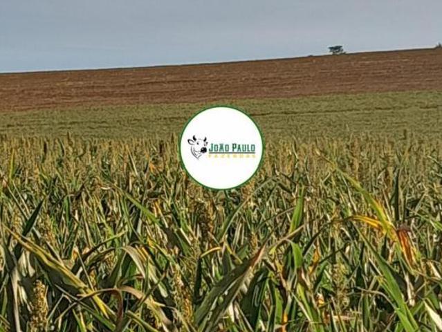Fazenda a venda em Conquista MG 325 hectares DUPLA APTIDÃO EXTRA