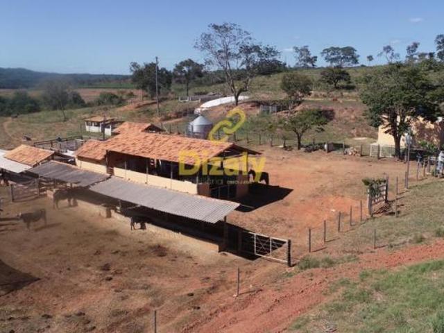 FAZENDA A VENDA EM CORDISBURGO COM 70HEC TODO FORMADO