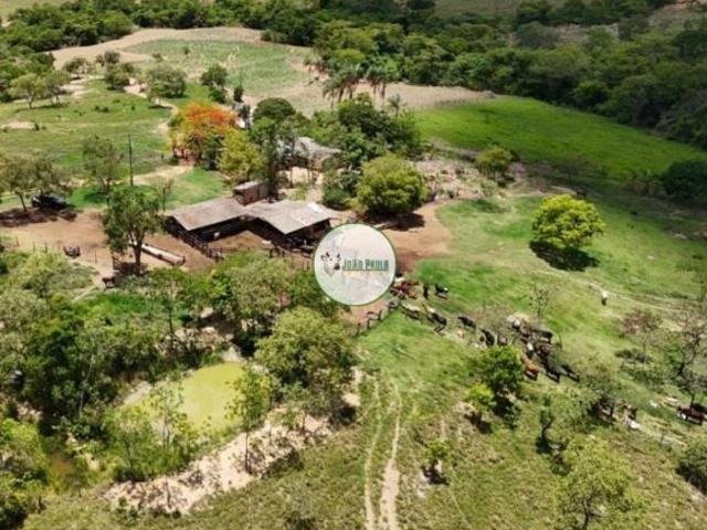 Fazenda a venda em Cabeceira Grande MG 143 Hectares Propriedade produtiva, bem localizada