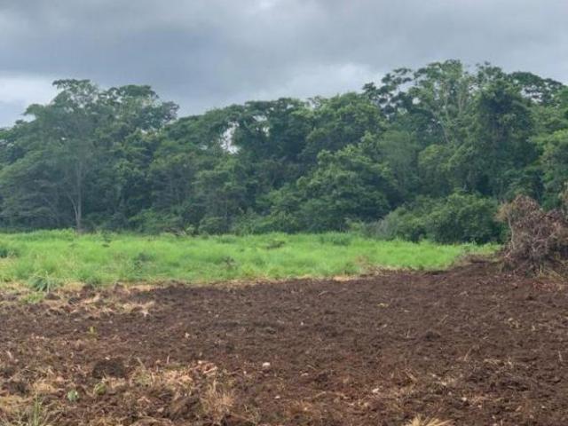 FAZENDA A VENDA EM CÁCERES MT!