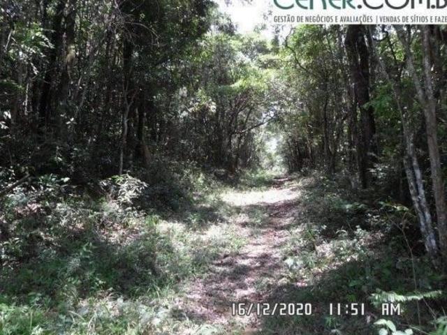 Fazenda à venda em Caeté/MG