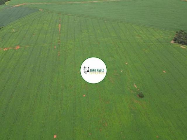 Fazenda a venda em Caiaponia GO 95 Hectares 16 alqueires plantando soja Plana
