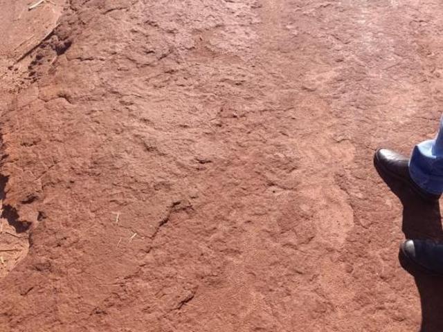 Fazenda à venda em Cajuru/SP