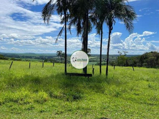 Fazenda a venda em Campo Florido MG 95 Hectares REGIÃO DE CANA CONSOLIDADA
