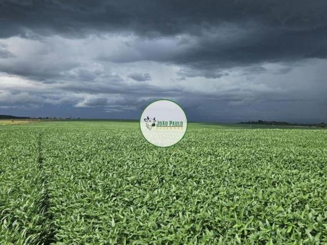 Fazenda a venda em Campina Verde MG 484 Hectares REGIÃO PREMIUM DO AGRONEGÓCIO