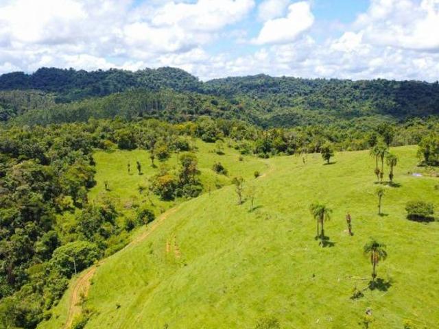 Fazenda à venda em Campina Grande do Sul PR