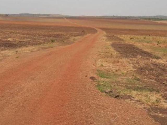 FAZENDA A VENDA EM CAMPINÁPOLIS SENTIDO SÃO JOSÉ DO COUTO MT