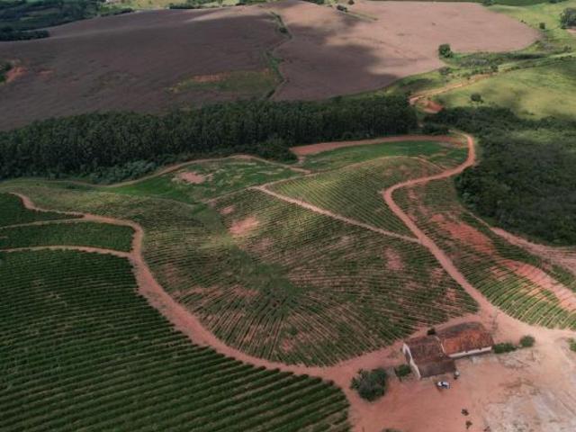 Fazenda à venda em Careaçu MG: 2 quartos, 1 banheiro, 2 vagas de garagem e 1.260.000,00 m² de área!