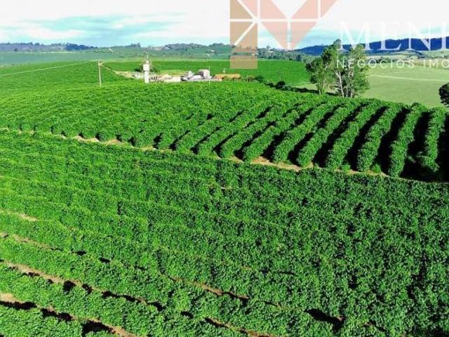 Fazenda à venda em Carvalhópolis