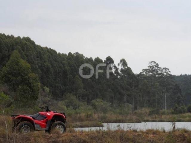 fazenda à venda em Chácara dos Pessegueiros