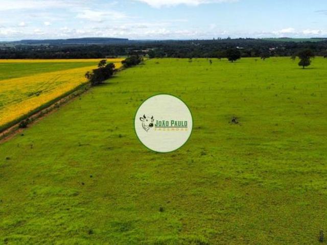 Fazenda a venda em CIDADE OCIDENTAL/GO 43 Hectares Excelente logística