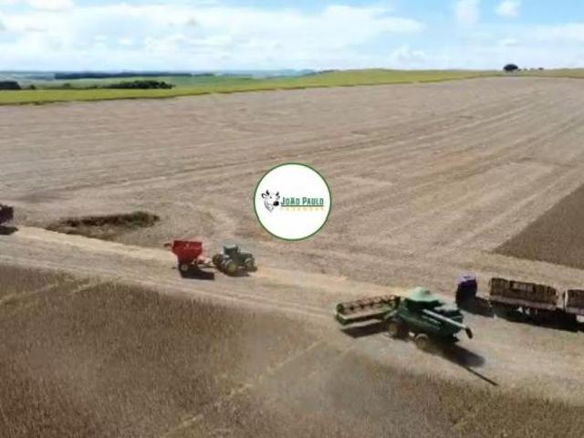 Fazenda a venda em Cristalina GO 315 HA Área de plantio atual 215 Hectares