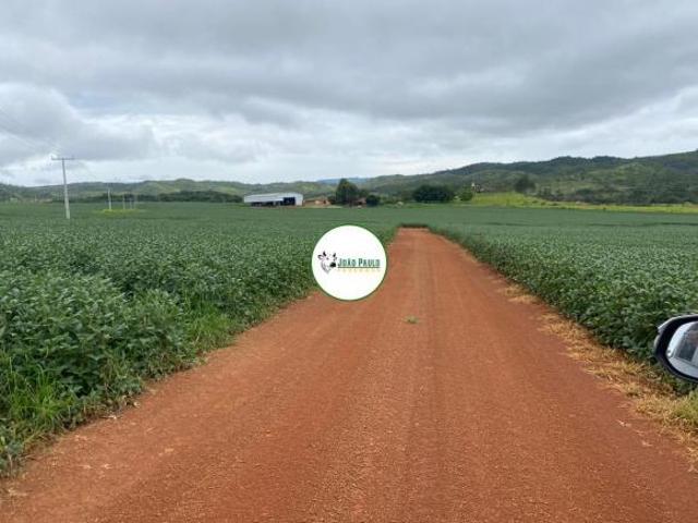 Fazenda a venda em Água Fria de Goiás 1.500 hectares Dupla aptidão