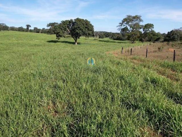 Fazenda à venda em Alto Araguaia/MT