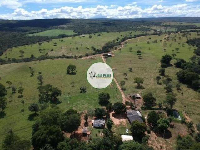 Fazenda a venda em Alto Paraíso de Goiás GO 260 Hectares Dupla aptidão com alto potencial