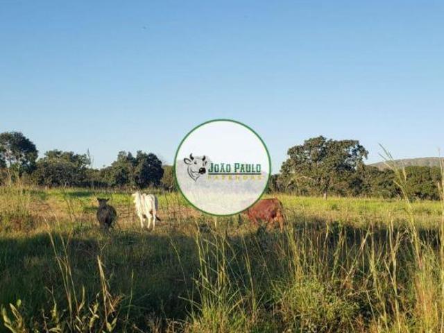 Fazenda a venda em Alvorada do Norte GO 439 Hectares Toda aberta e formada