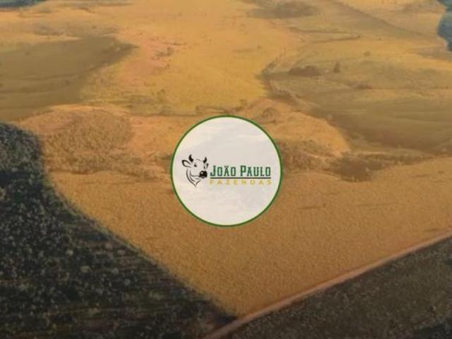 Fazenda a venda em Alexânia GO 232 HA DUPLA APTIDÃO EXELENTE FAZENDA
