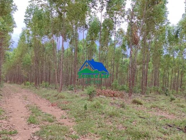 Fazenda à venda em Área Rural, Aiuruoca, MG
