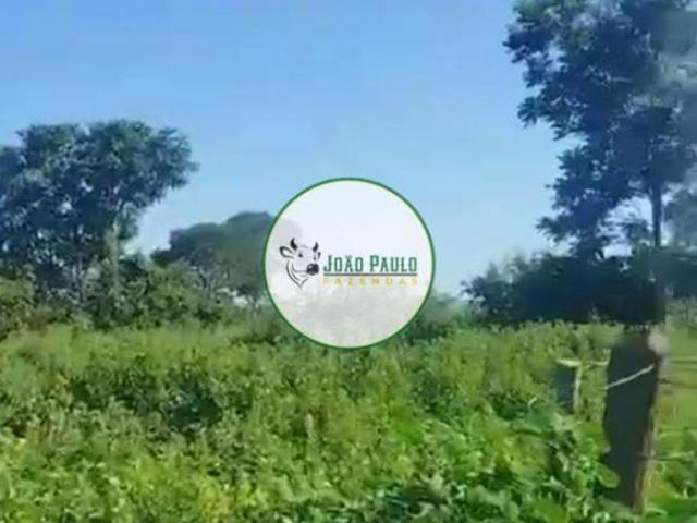 Fazenda a venda em ARINOS MG 1.050 Hectares Montada para atividade pecuária e bom potencial