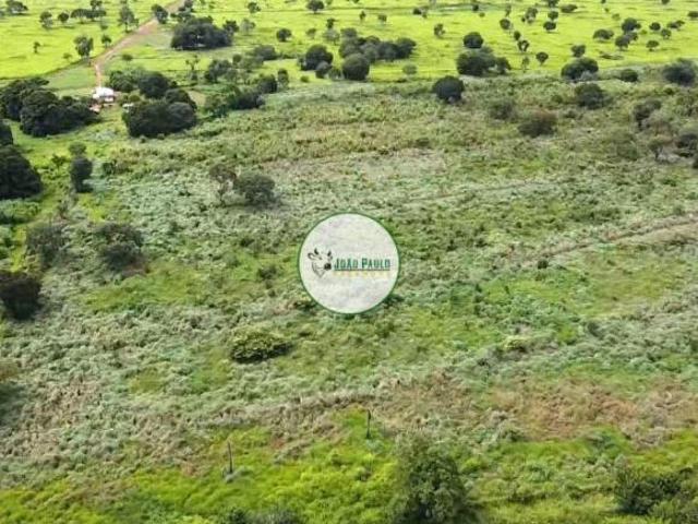 Fazenda a venda em ARINOS MG 247 hectares Relevo plano DUPLA APTIDÃO