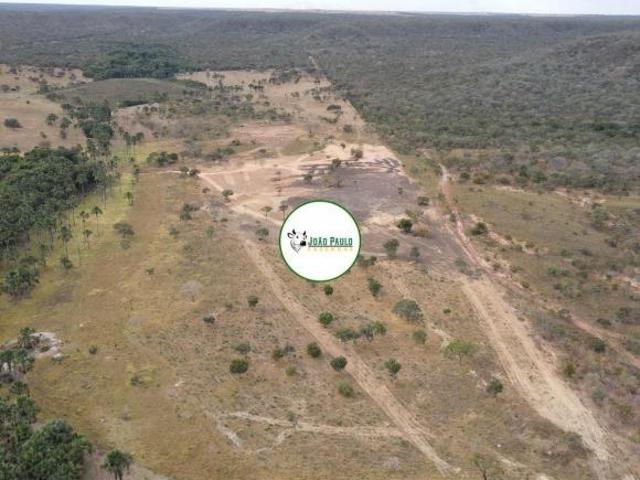 Fazenda a venda em ARINOS MG 294 HECTARES Beira do asfalto Oportunidade