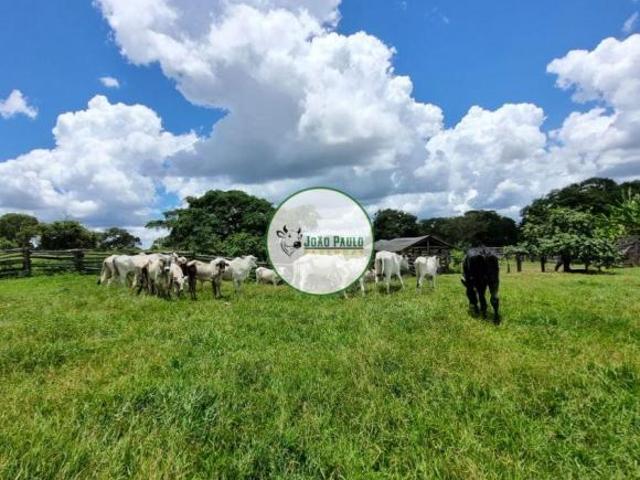 Fazenda a venda em ARINOS MG 202 Hectares Toda formada 12 divisões de pastos