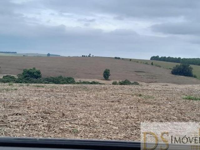FAZENDA A VENDA EM BOTUCATU, COM 104 ALQUREIS NO TOTAL, SOLO VERMELHO, ÓTIMA HIDROGRAFIA E EXCELENTE