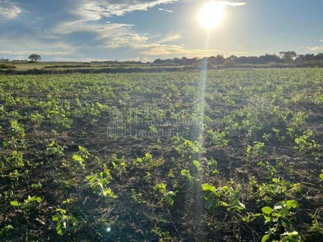 Fazenda à venda em Bodoquena, ZONA RURAL, BODOQUENA MS