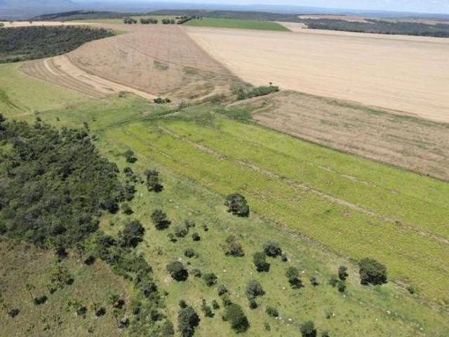 Fazenda a venda em Bonfinópolis de Minas 934 HA Ótima para plantações