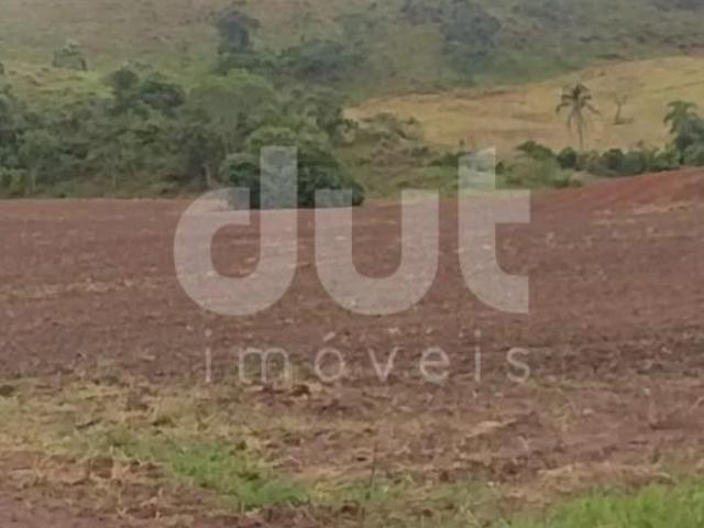 fazenda à venda em Bairro do Paiol