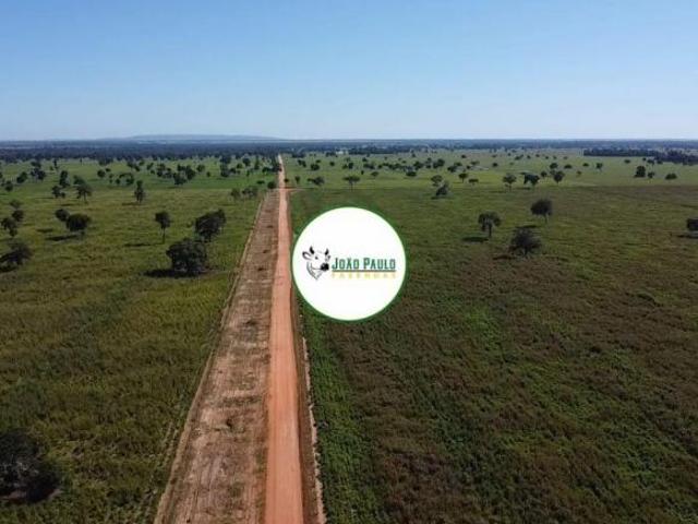 Fazenda a venda em Barra do garças MT 916 hectares Estrutura completa Outorga liberada pivô