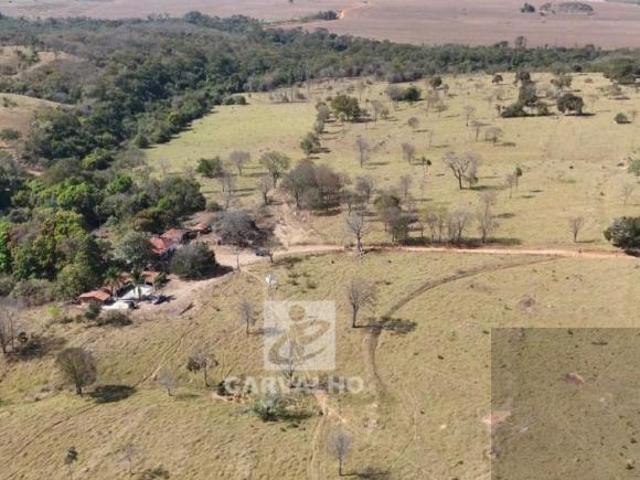 Fazenda a venda em Bela Vista GO