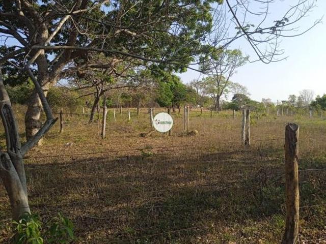 Fazenda a venda em Brasilândia de Minas MG 154 HA Plana e boa para plantio