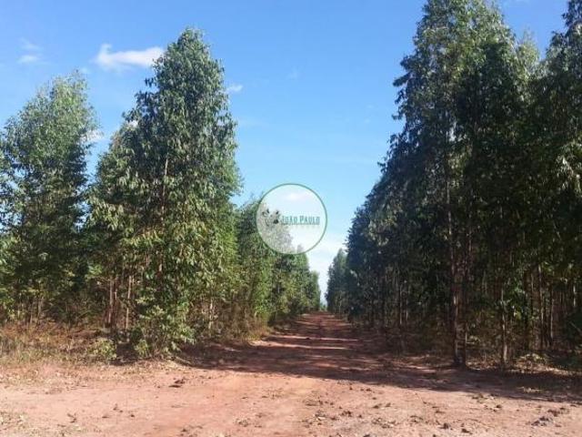 Fazenda a venda em Brasilândia de Minas MG 513 HA DUPLA APTIDÃO