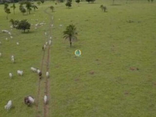 Fazenda à venda em Guapó/GO