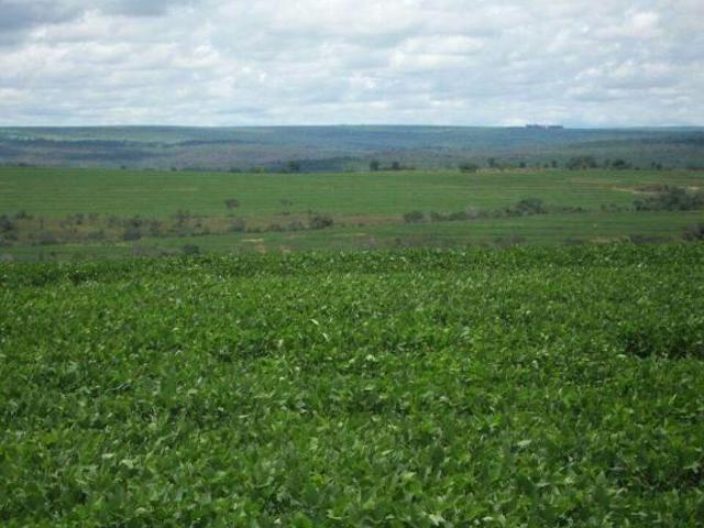 FAZENDA A VENDA EM GUIRATINGA MT