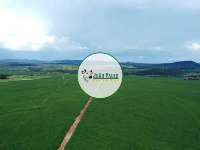 Fazenda a venda em Doverlândia GO 1.766 Hectares Área plantada atualmente: 800 hectares