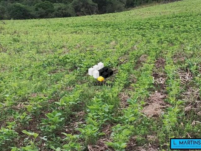 Fazenda à venda em Encruzilhada do Sul Fazenda no RS Sojá Pecuária