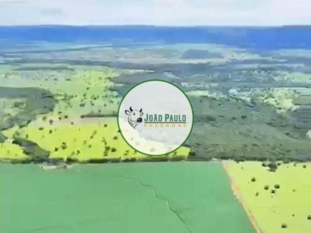 Fazenda a venda em Formosa GO 595 Hectares Dupla aptidão