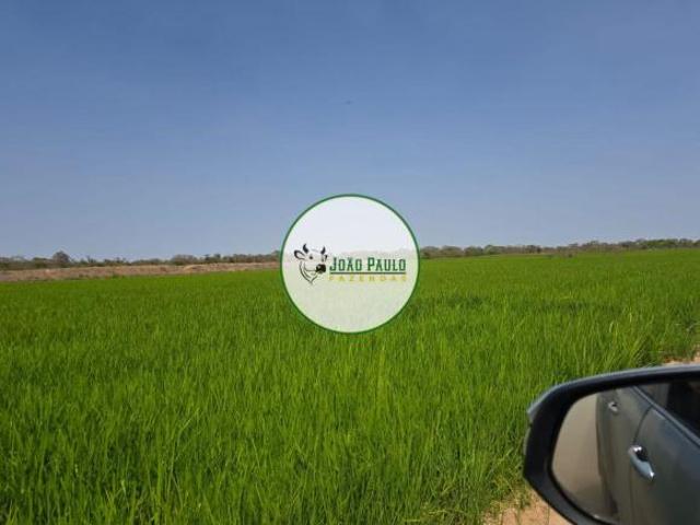 Fazenda a venda em Flores GO 2.433 Hectares 1.000 hectares IRRIGADOS
