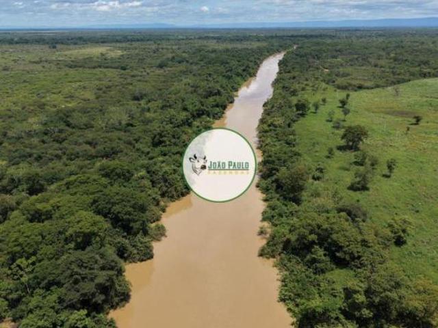 Fazenda a venda em Flores GO 387 Hectares Excelente oportunidade para investidores e produtores