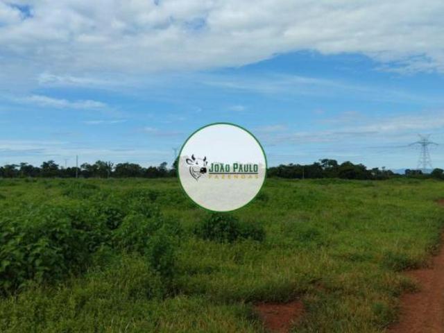 Fazenda a venda em Flores GO 484 Hectares 14 divisões de pasto Toda formada Plana