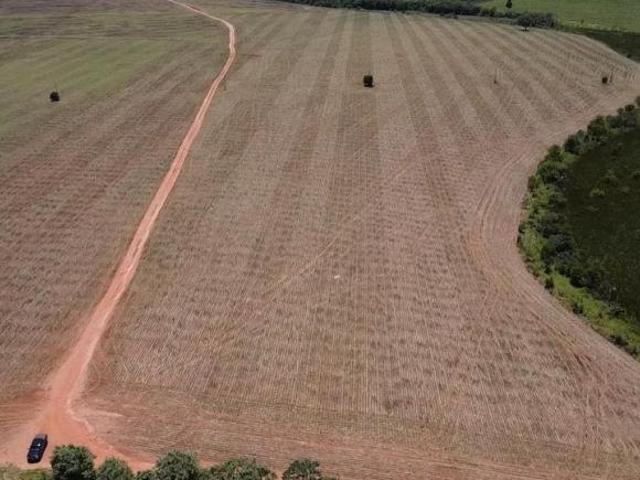 Fazenda à venda em Itaí SP: 1 quarto, 1 banheiro, 1.645.600,00 m² de área na Área Rural de Itaí!