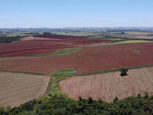 Fazenda à venda em Itaí SP, na Área Rural, com 1 quarto, 1 banheiro e 1.379.400,00 m² de área. Venha