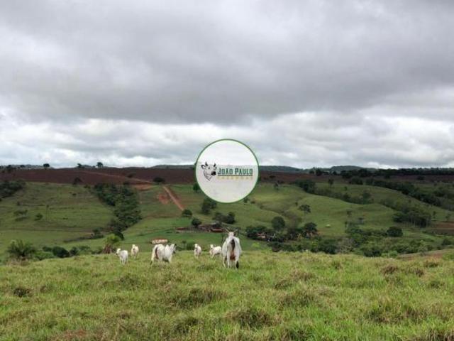 Fazenda a venda em Ivolândia GO 450 Hectares Sendo 30 alqueires em lavoura. + 48 alqueires pasto