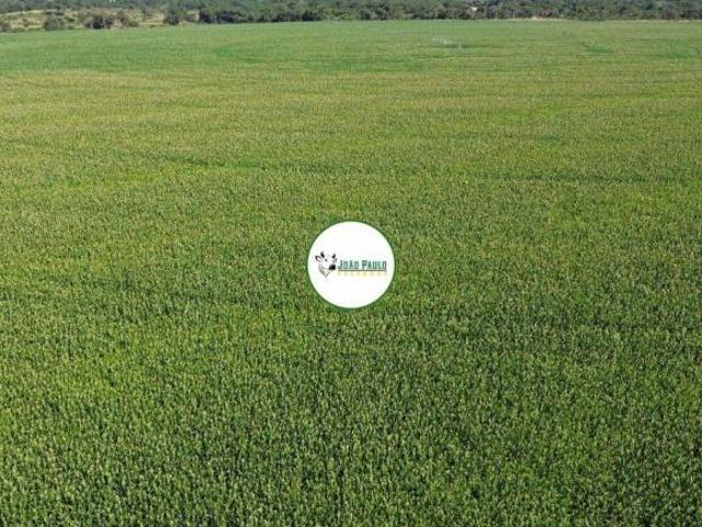 Fazenda a venda em João Pinheiro 400 HA Possui 3 pivôs com total de 160 HA