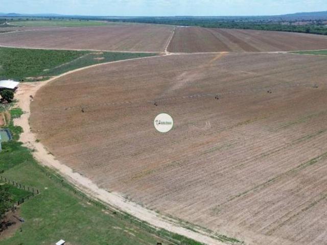 Fazenda a venda em João Pinheiro 560 HA POSSUI 245 HA DE IRRIGAÇÃO POR PIVO